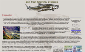 Bull Trout Telemetry Synthesis