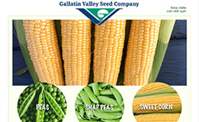 Gallatin Valley Seed – Peas